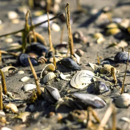 8919-orsted-ternevej-54 *