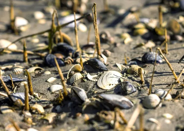 8919-orsted-ternevej-54 *